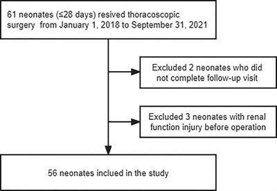 Risk factors for anesthesia-associated postoperative capillary leakage after thoracoscopic surgery in neonates: A single-center observational study